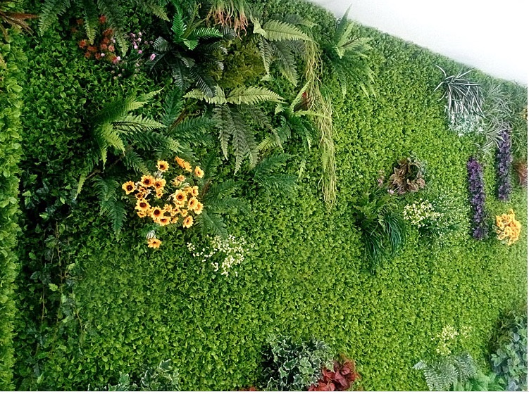 Thảm cỏ đẹp 3